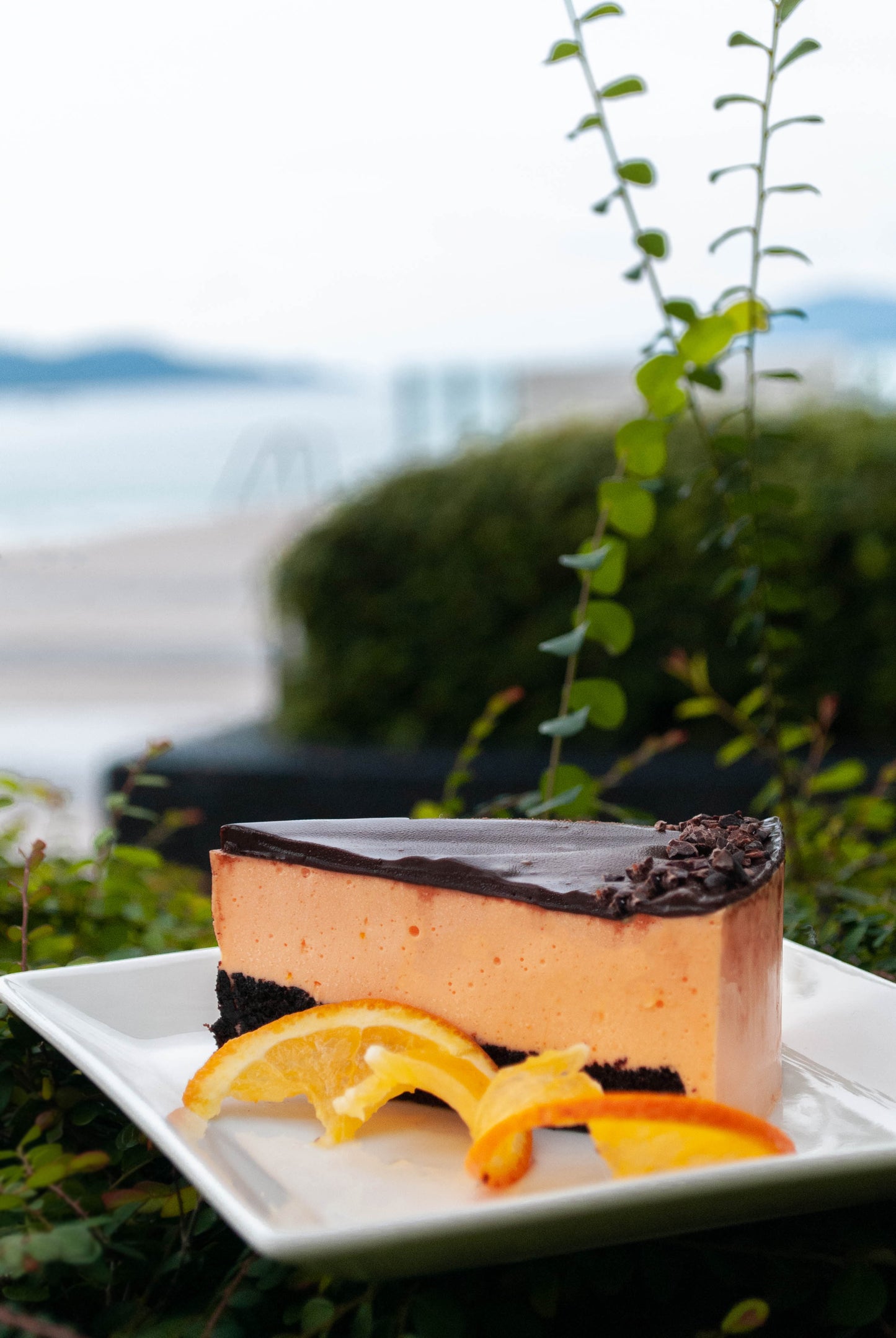 Bird's Milk Cake / Торт Птичье Молоко (Please contact us to pre-order)