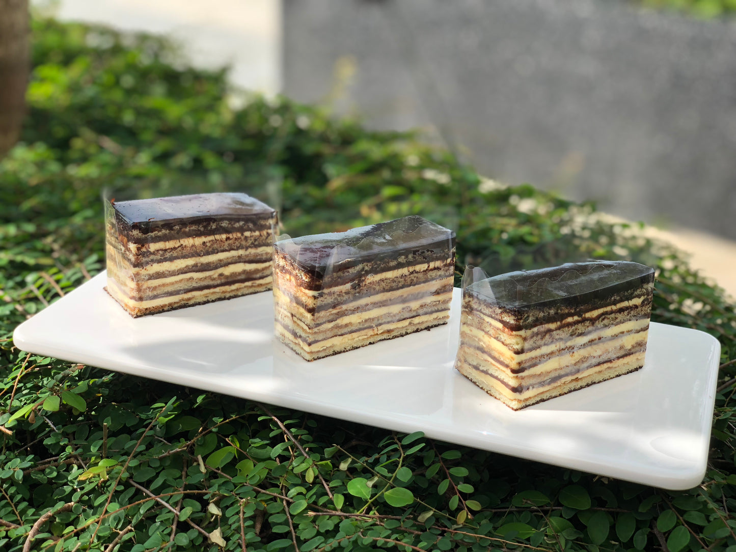 Opera Cake (Slice)